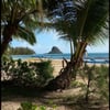 Kualoa Ranch gift card