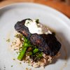 Above Ash Social gift card