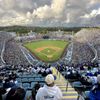 Dodger Stadium gift card